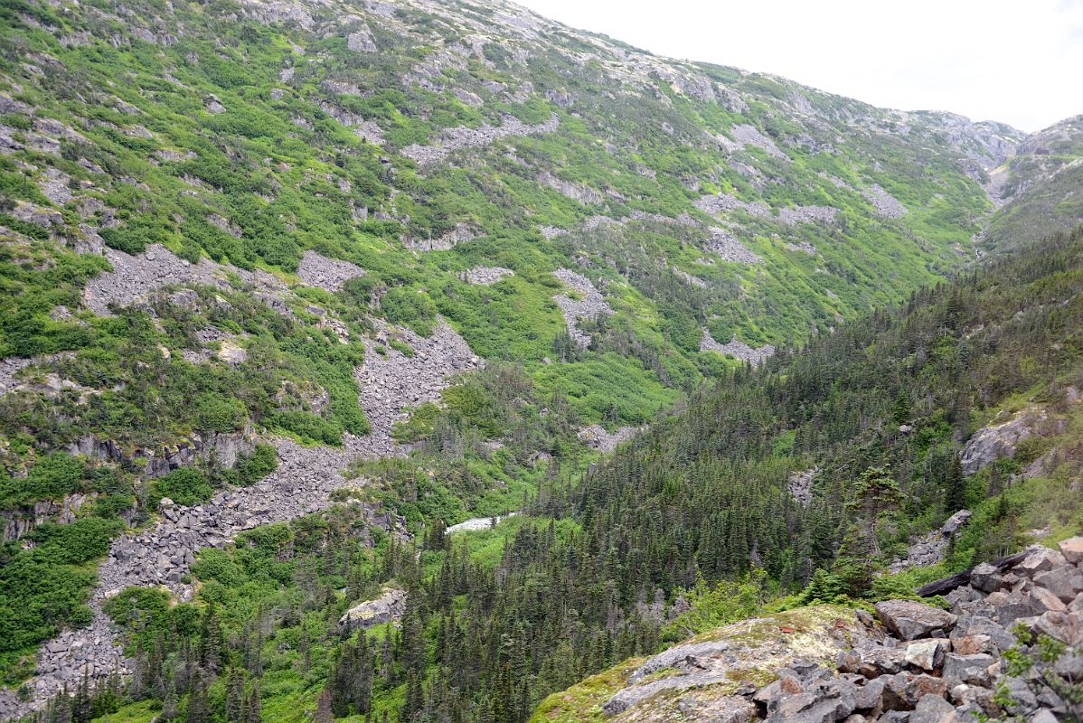 19A Looking Back Toward White Pass Summit From The White Pass and Yukon Route Train To Skagway